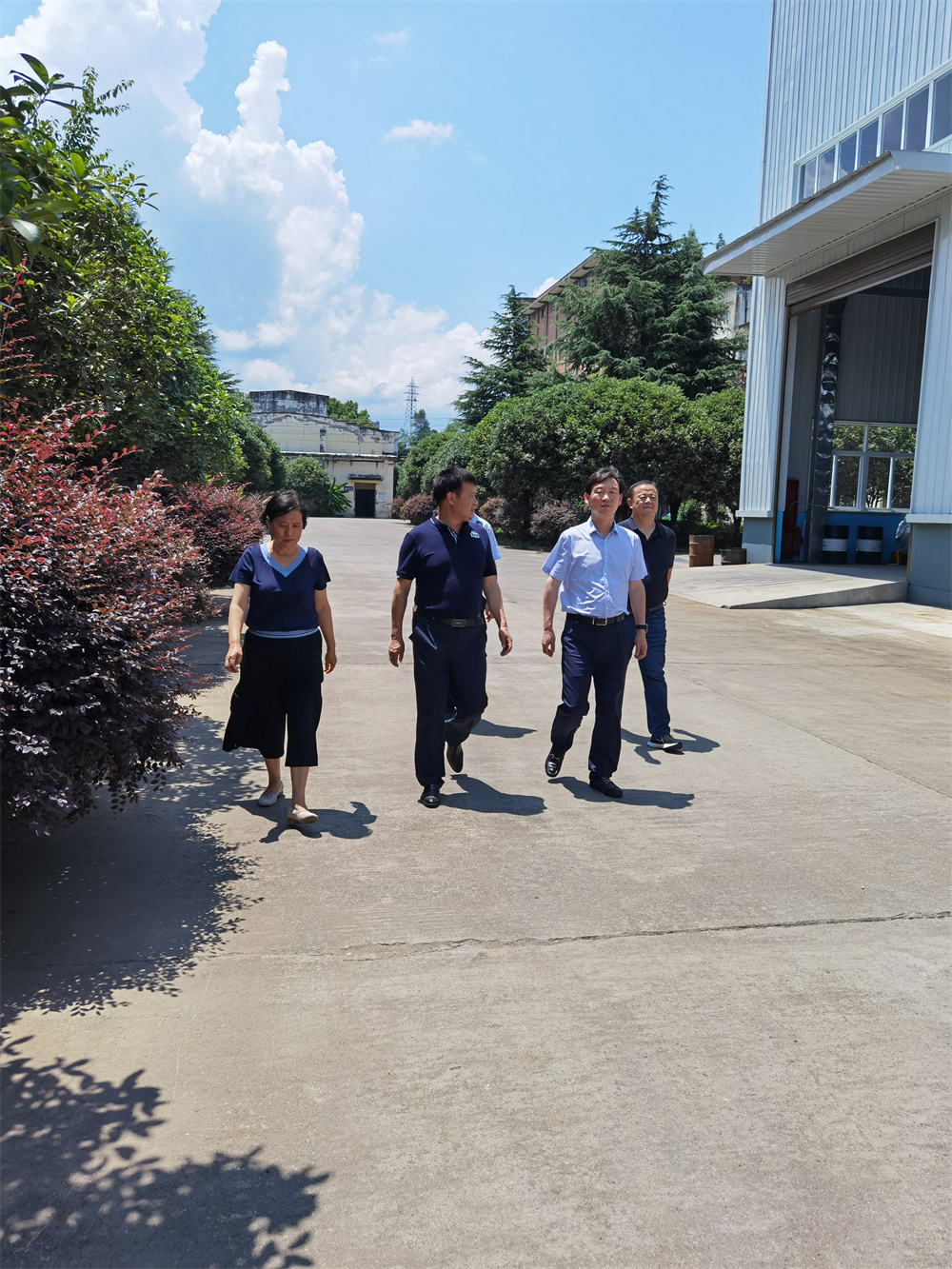 中國農(nóng)業(yè)發(fā)展銀行安康市分行行長(zhǎng)趙明一行人來我公司調(diào)研生產(chǎn)經(jīng)營情況